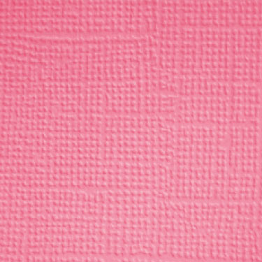 Image coming soon!