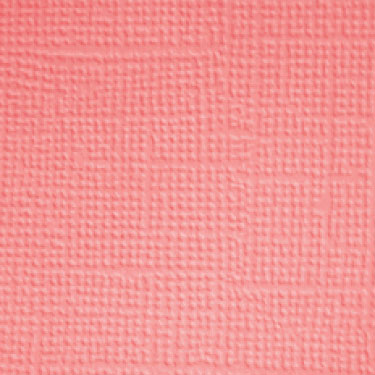 Image coming soon!
