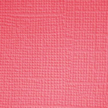 Image coming soon!