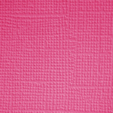 Image coming soon!
