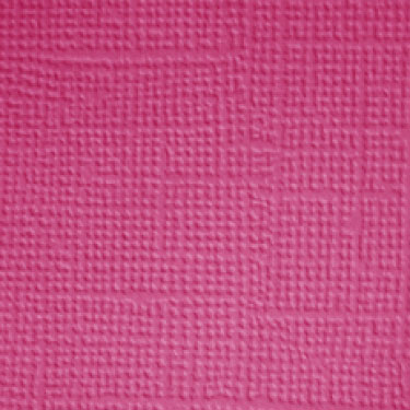 Image coming soon!