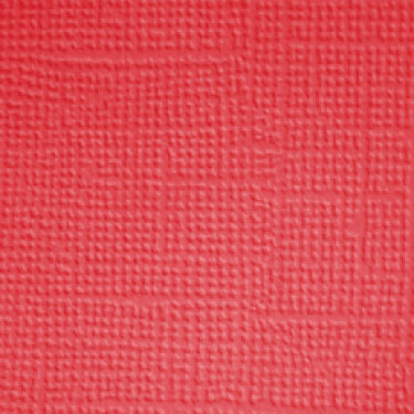 Image coming soon!