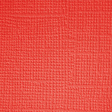 Image coming soon!