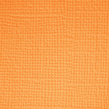 Image coming soon!