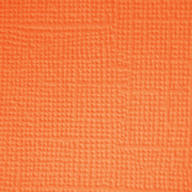 Image coming soon!