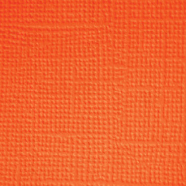 Image coming soon!