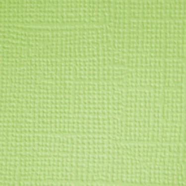 Image coming soon!