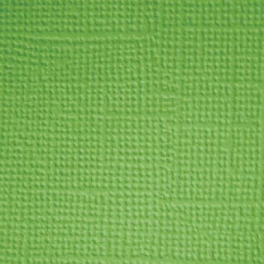 Image coming soon!