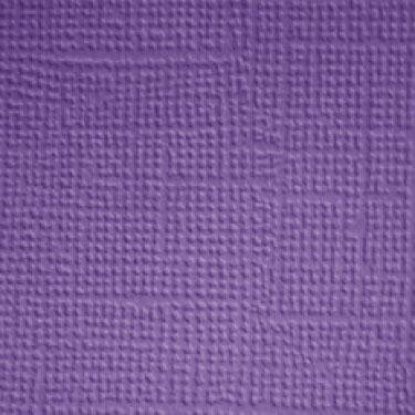 Image coming soon!