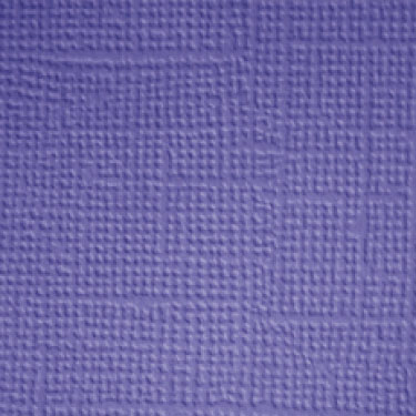 Image coming soon!
