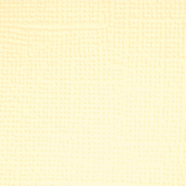 Image coming soon!