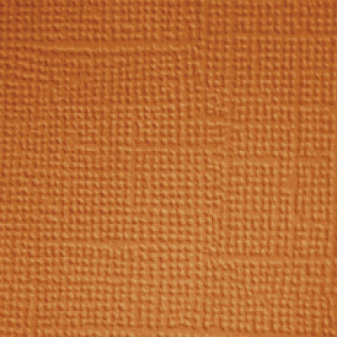 Image coming soon!