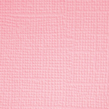 Image coming soon!