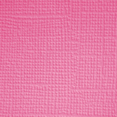 Image coming soon!